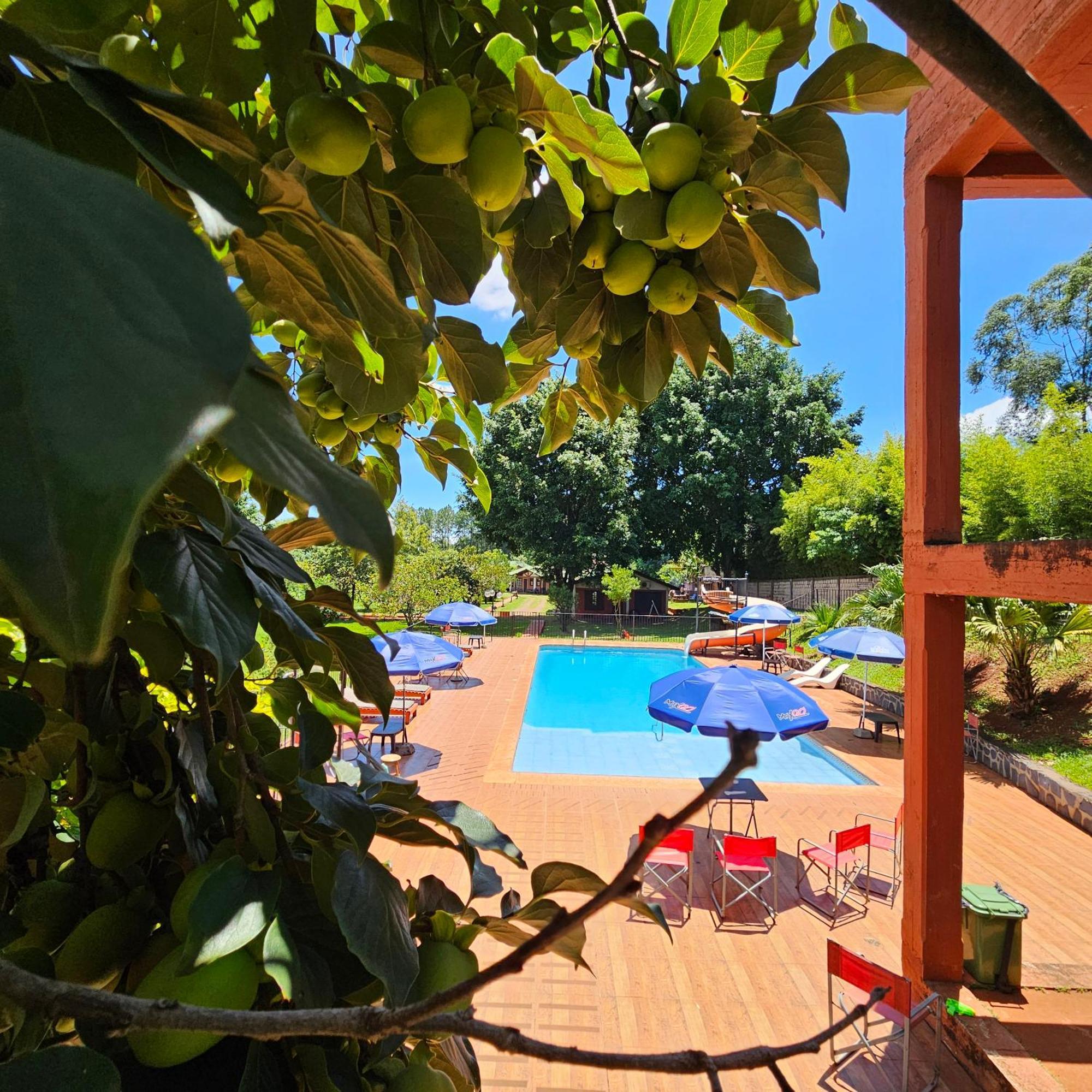 Cabanas El Refugio Del Mensu Puerto Iguazú Buitenkant foto