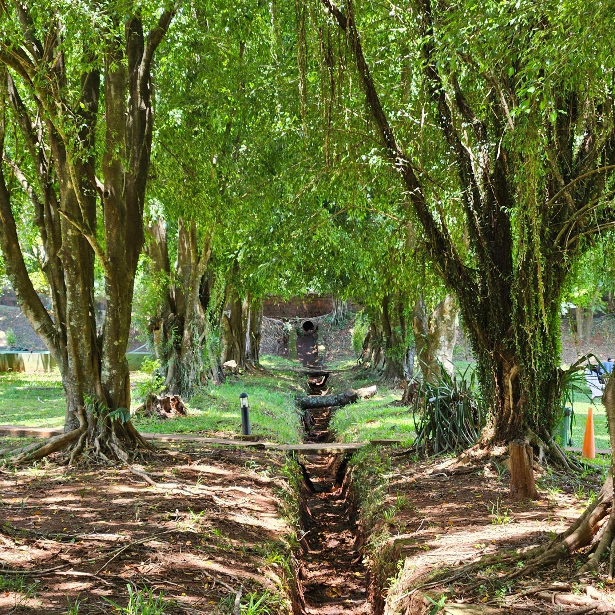 Cabanas El Refugio Del Mensu Puerto Iguazú Buitenkant foto